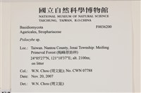 登錄號:F0036200藏品圖，第2張