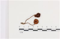 登錄號:F0036200藏品圖，第1張