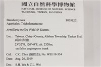 登錄號:F0036201藏品圖，第2張