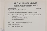 登錄號:F0036202藏品圖，第2張