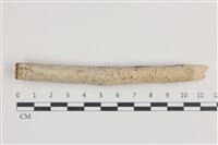 登錄號:F0036202藏品圖，第1張