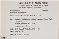 登錄號:F0036203藏品圖，第2張