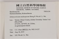 登錄號:F0036204藏品圖，第2張
