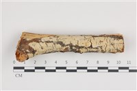 登錄號:F0036204藏品圖，第1張