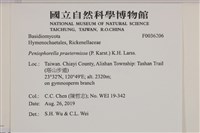 登錄號:F0036206藏品圖，第2張