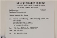 登錄號:F0036209藏品圖，第2張