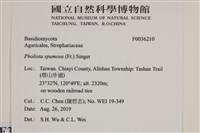 登錄號:F0036210藏品圖，第2張