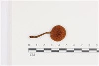 登錄號:F0036210藏品圖，第1張