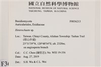 刺皮菌屬藏品圖，第2張