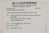 登錄號:F0036214藏品圖，第2張