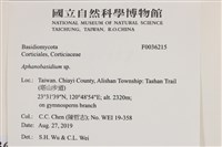 登錄號:F0036215藏品圖，第2張