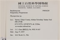 登錄號:F0036220藏品圖，第2張