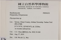 登錄號:F0036221藏品圖，第2張