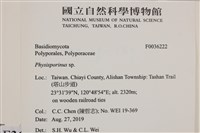 登錄號:F0036222藏品圖，第2張