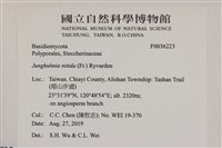 登錄號:F0036223藏品圖，第2張