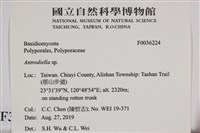 登錄號:F0036224藏品圖，第2張