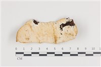 登錄號:F0036224藏品圖，第1張