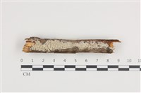 登錄號:F0036225藏品圖，第1張