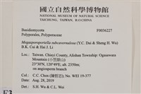 登錄號:F0036227藏品圖，第2張