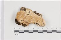 登錄號:F0036227藏品圖，第1張