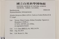 登錄號:F0036228藏品圖，第2張