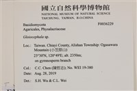 登錄號:F0036229藏品圖，第2張