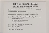 登錄號:F0036230藏品圖，第2張