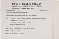 登錄號:F0036234藏品圖，第2張