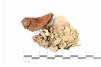 登錄號:F0036235藏品圖，第1張