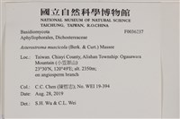 登錄號:F0036237藏品圖，第2張