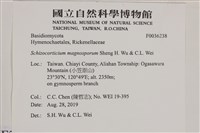 登錄號:F0036238藏品圖，第2張