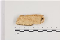 登錄號:F0036239藏品圖，第1張