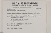 登錄號:F0036240藏品圖，第2張
