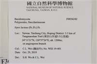 登錄號:F0036242藏品圖，第2張