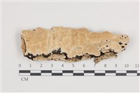 登錄號:F0036242藏品圖，第1張