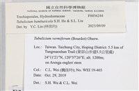 登錄號:F0036244藏品圖，第2張