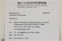 登錄號:F0036245藏品圖，第2張