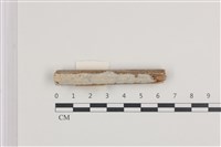 登錄號:F0036245藏品圖，第1張