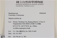 登錄號:F0036246藏品圖，第2張