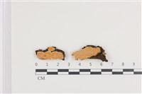 登錄號:F0036246藏品圖，第1張