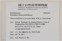 登錄號:F0036247藏品圖，第2張