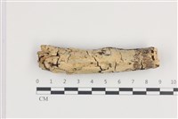 登錄號:F0036247藏品圖，第1張