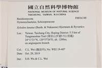 登錄號:F0036248藏品圖，第2張