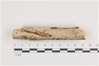 登錄號:F0036249藏品圖，第1張