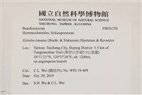 登錄號:F0036250藏品圖，第2張