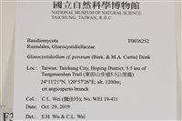 登錄號:F0036252藏品圖，第2張