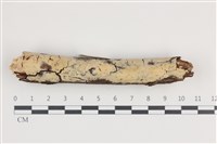 登錄號:F0036252藏品圖，第1張