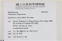 登錄號:F0036256藏品圖，第2張