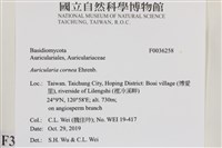 登錄號:F0036258藏品圖，第2張