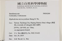 登錄號:F0036260藏品圖，第2張